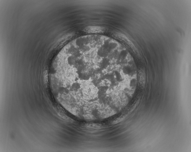 X0000111470549200908241344