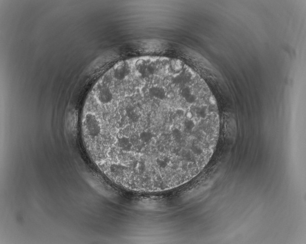 X0000111470550200908241344