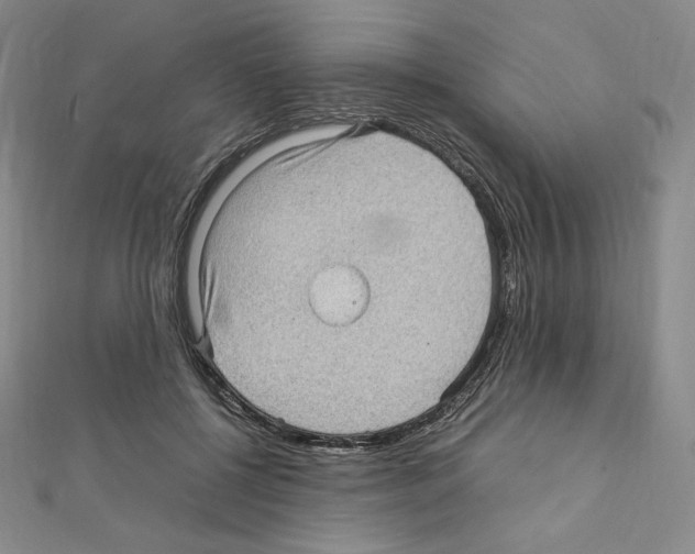 X0000111470552200908241344