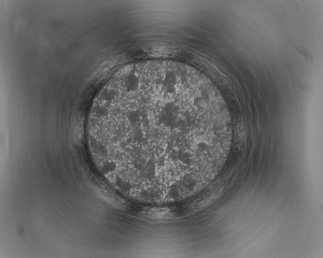 X0000111470554200908241344