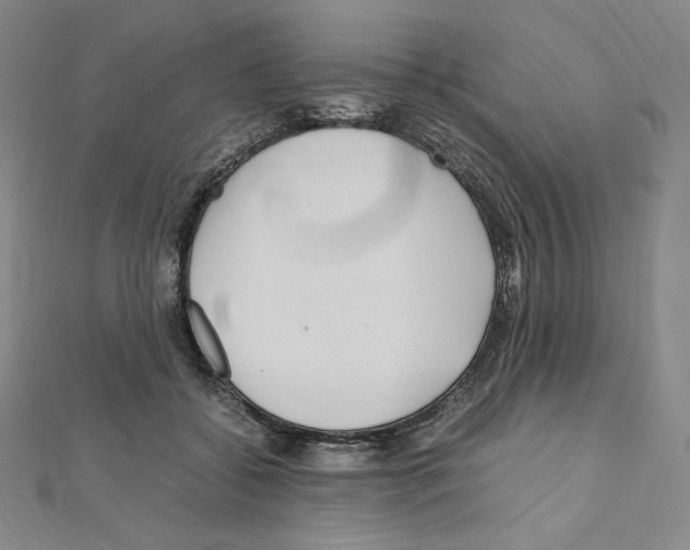 X0000111470556200908241344