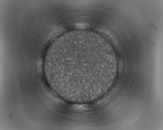 X0000111470557200908241344