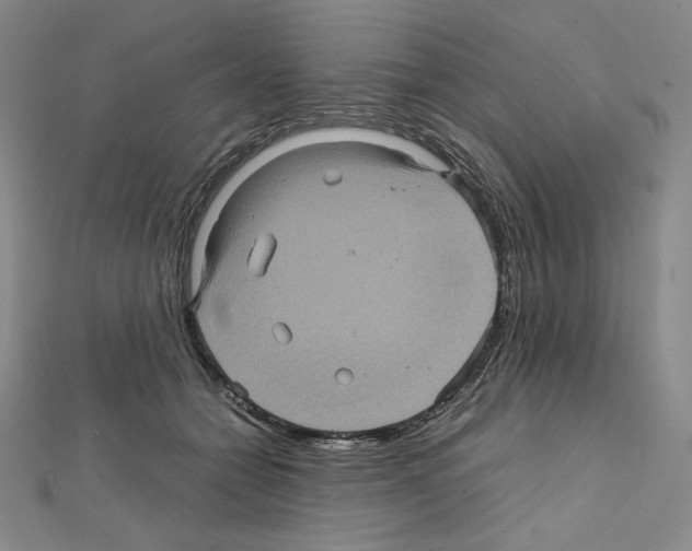 X0000111470558200908241344