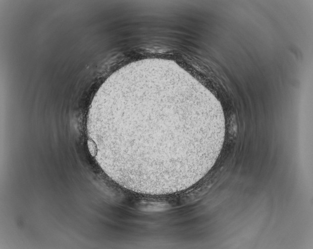 X0000111470559200908241344