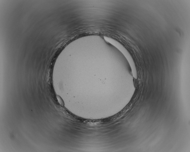 X0000111470560200908241344