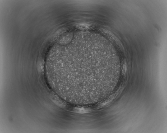 X0000111470561200908241344