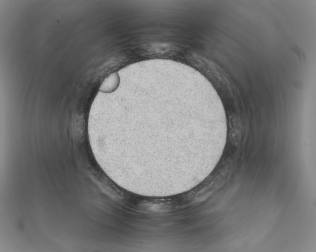 X0000111470563200908241344