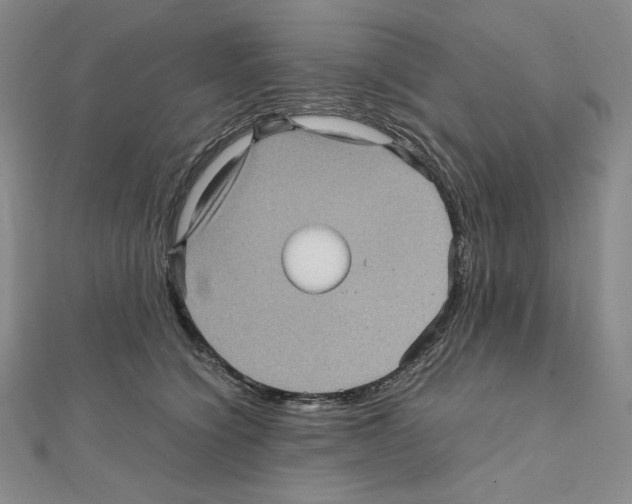 X0000111470564200908241344