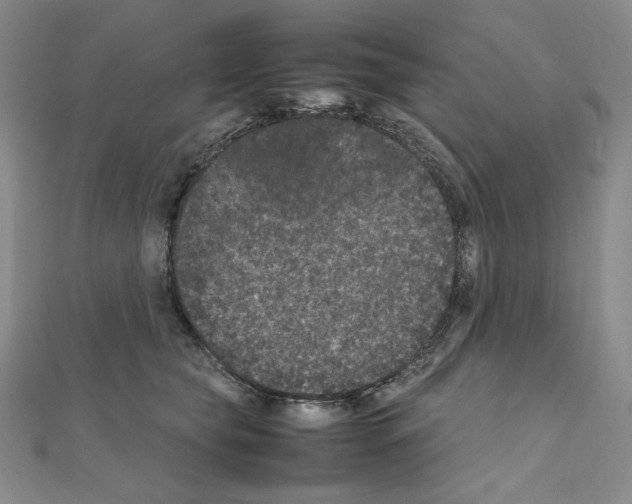 X0000111470565200908241344