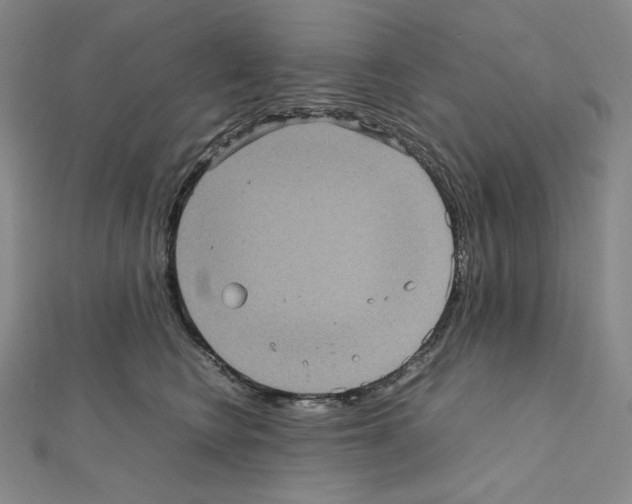 X0000111470566200908241344