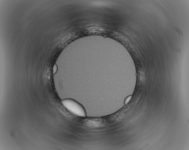 X0000111470567200908241344