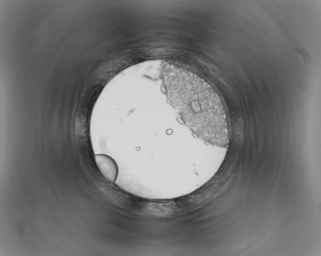 X0000111470571200908241344