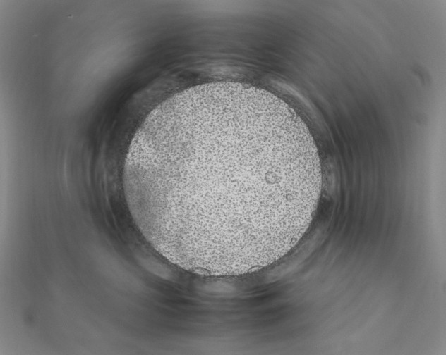 X0000111470573200908241344