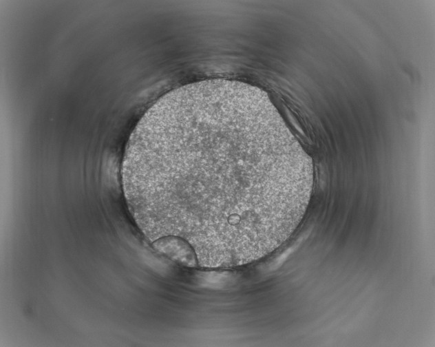 X0000111470575200908241344