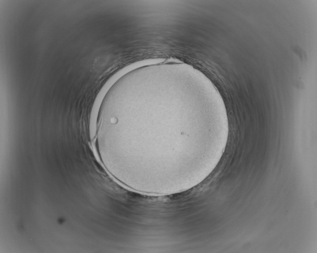 X0000111470576200908241344