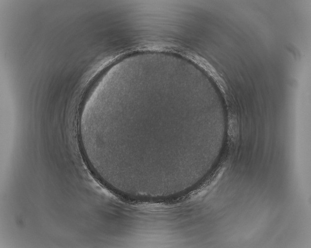 X0000111470577200908241344