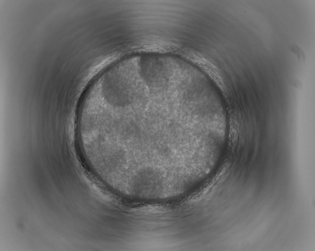 X0000111470578200908241344