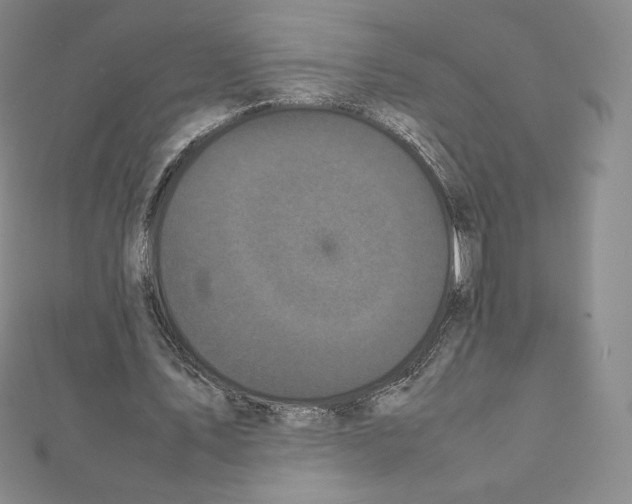 X0000111470579200908241343