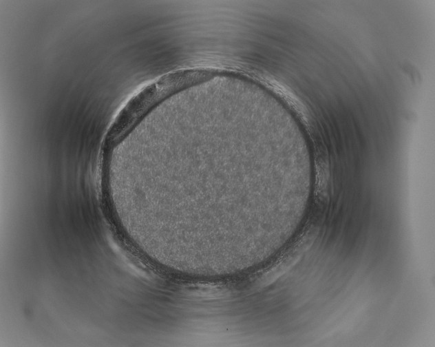 X0000111470580200908241343