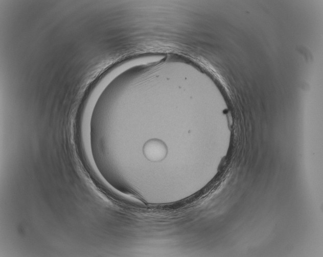 X0000111470581200908241343