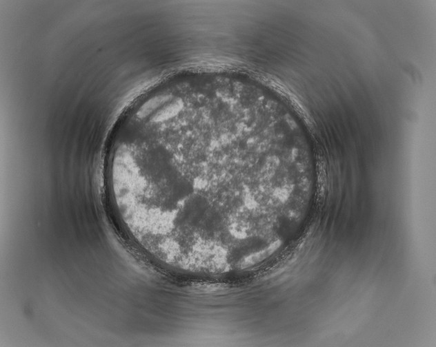 X0000111470582200908241343