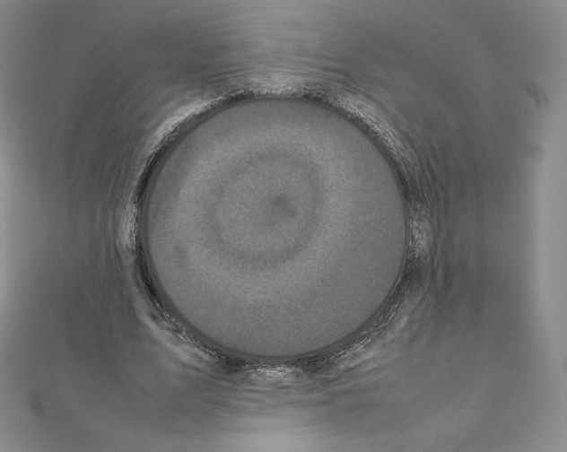 X0000111470583200908241343