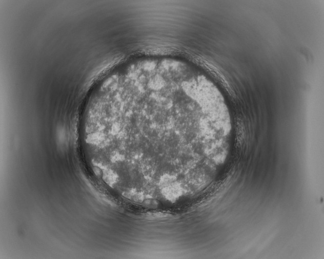 X0000111470586200908241343