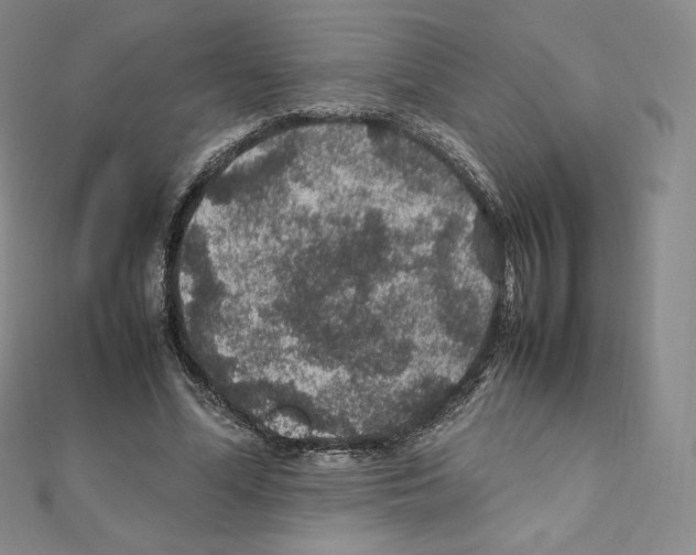 X0000111470588200908241343