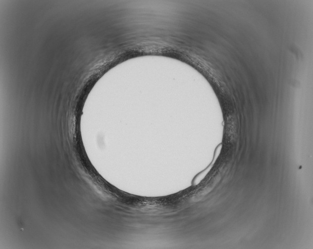 X0000111470589200908241343