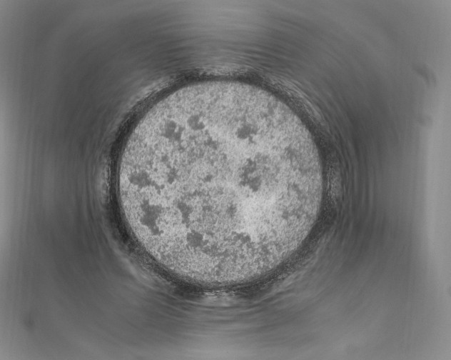 X0000111470591200908241343