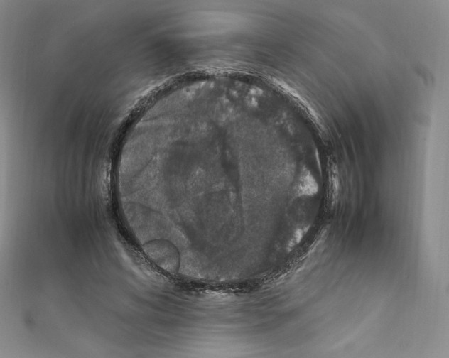 X0000111470592200908241343