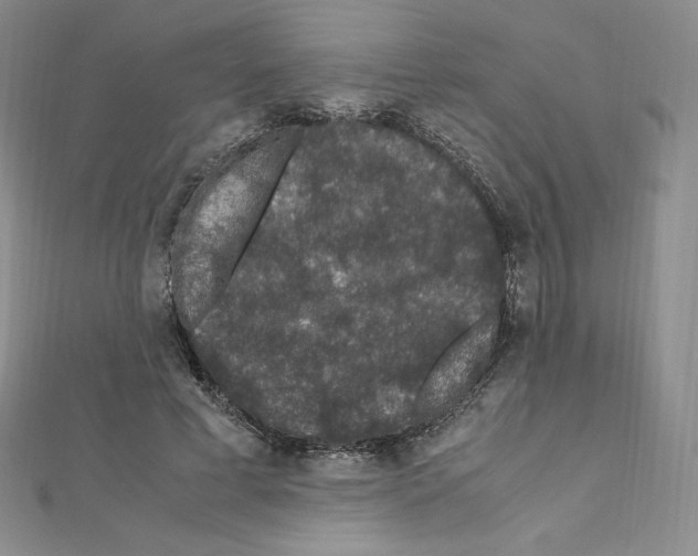 X0000111470593200908241343