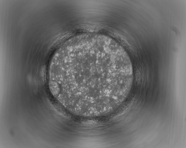 X0000111470594200908241343