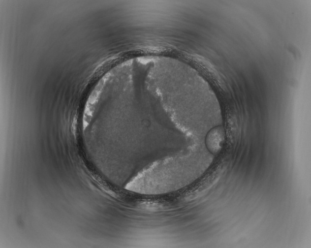 X0000111470596200908241343