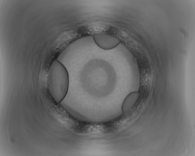 X0000111470599200908241343