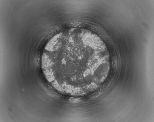 X0000111470602200908241343