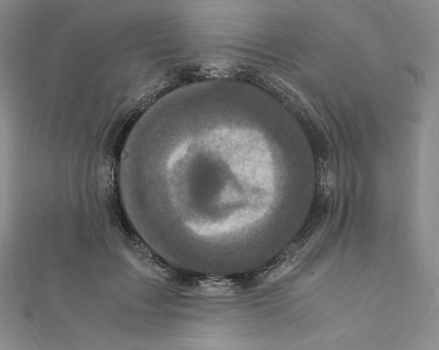 X0000111470603200908241343