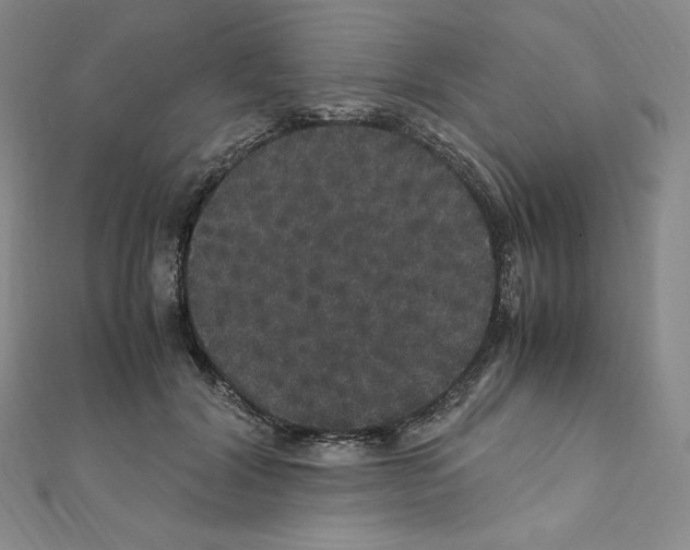 X0000111470604200908241343