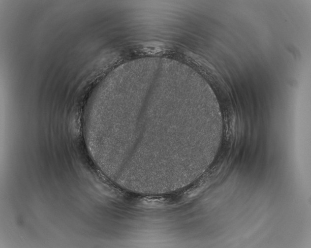 X0000111470606200908241343