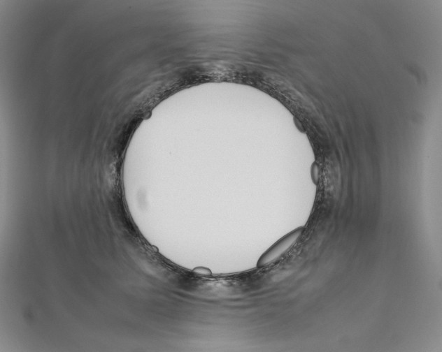 X0000111470611200908241343