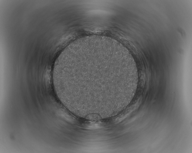 X0000111470612200908241343