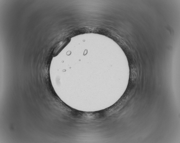 X0000111470613200908241343