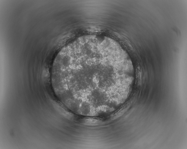 X0000111470614200908241343