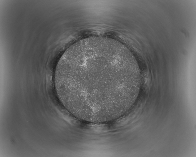 X0000111470615200908241343