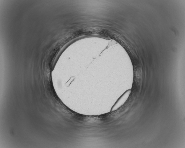 X0000111470617200908241343