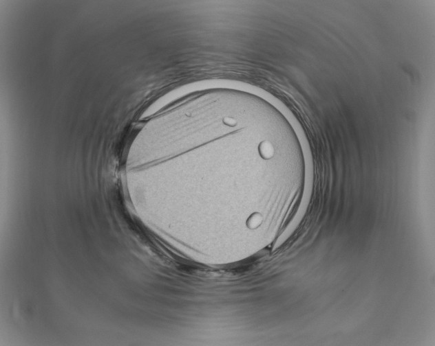 X0000111470621200908241343