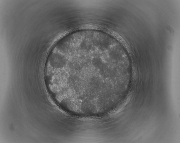 X0000111470625200908241342