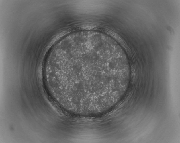 X0000111470626200908241342