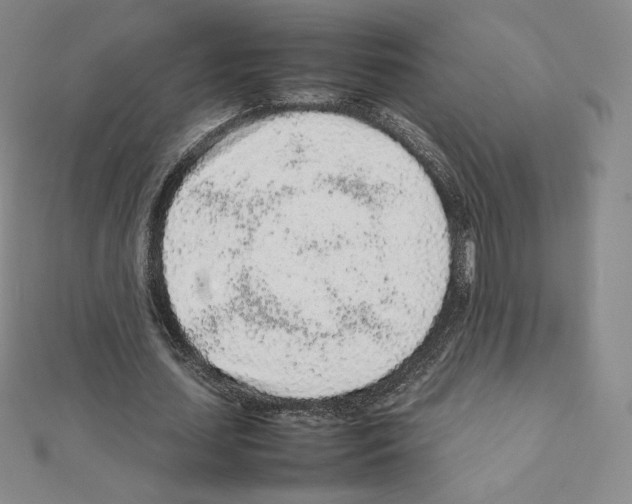 X0000111470627200908241342