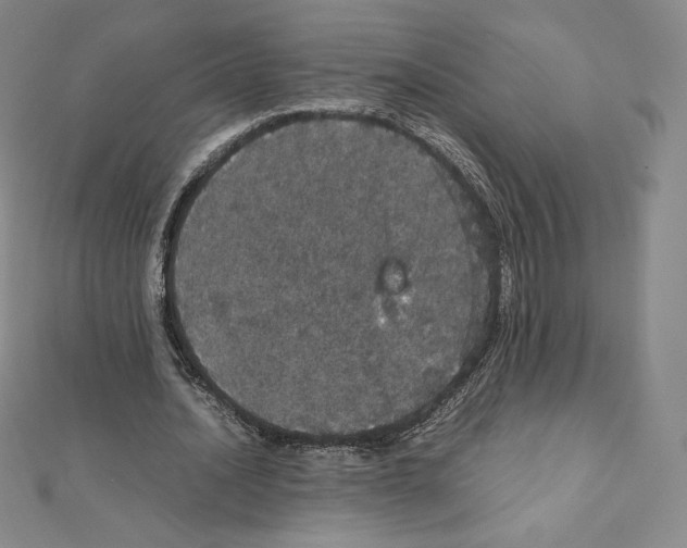 X0000111470628200908241342